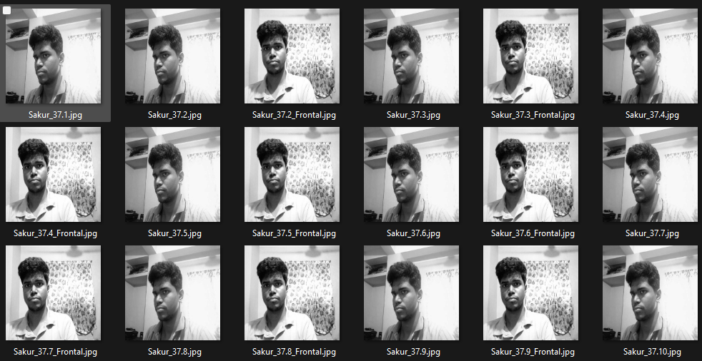 Data Before Augmentation